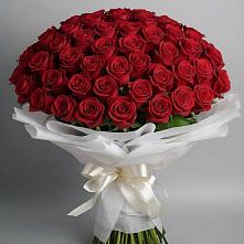 Букет 101 Красная роза Блэк Мэджик #REPLACE_PRED# Новобейсугской