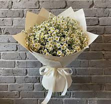Букет цветов из:  Ромашки #REPLACE_PRED# Новобейсугской