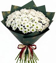 Букет цветов из:  Хризантемы #REPLACE_PRED# Новобейсугской