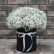 Цветочная композиция из Гипсофила в шляпной коробке #REPLACE_PRED# Новобейсугской