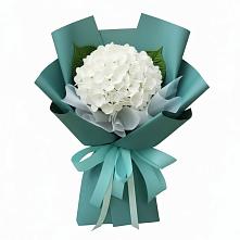 Букет цветов из:  Гортензия #REPLACE_PRED# Новобейсугской